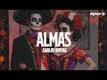 Carlos Rivera - Almas (Letra)