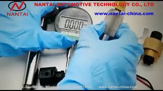 Nantai Piezo Siemens Injector Disemble Tools For Siemens Injector Solenoid Valve &Nozzle Tips
