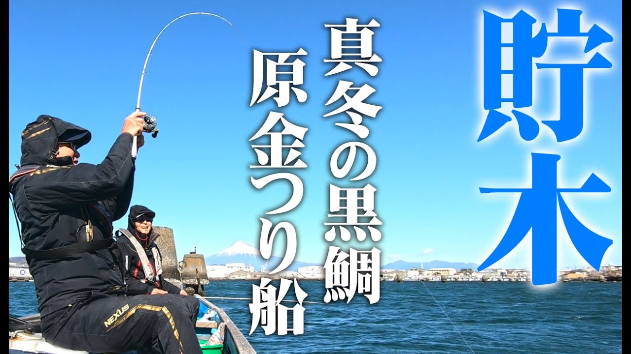 楽しいちぬ釣り #62 厳寒の黒鯛かかり釣り 静岡 清水港 开心钓黑鲷 Extreme Bream Fishing