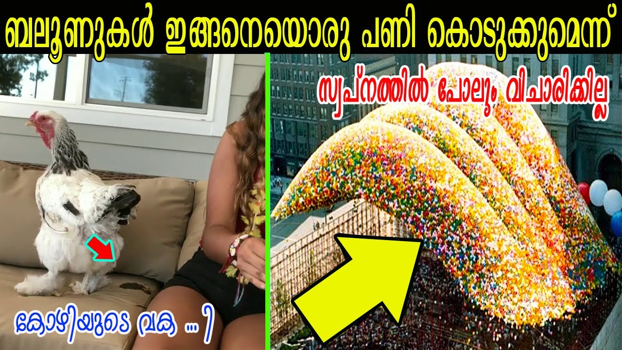 ഇതാണ് പതിനഞ്ചു ലക്ഷം ബലൂണുകൾ ഒന്നിച്ചു പറത്തരുതെന്ന് പറയുന്നത് | പ്രതീക്ഷകൾക്ക് വിപരീതമായ സംഭവങ്ങൾ