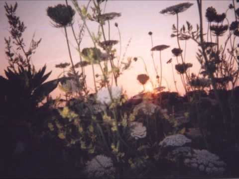 짙은 해바라기 Cover By Yewon