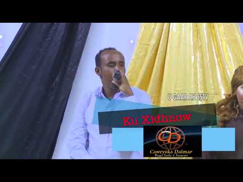 Axmed Daahir X Dalmar L Heestii Samsam 