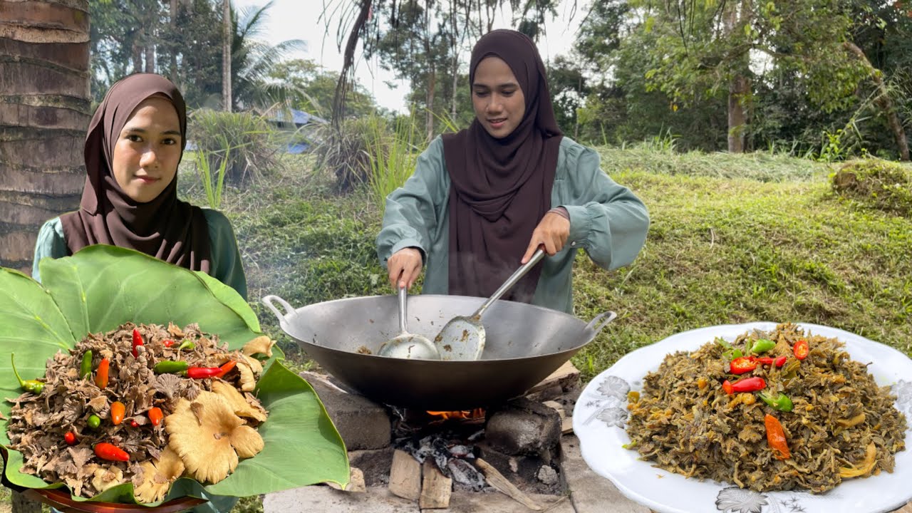 KULAT SISIR GORENG KUNYIT PEDAS | Menu rare  ‼️ makan dengan nasi panas dah cukup ! Wild mushrooms