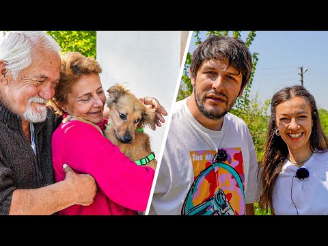 Ailemize Sürpriz Köpek Sahiplendik | Vlog