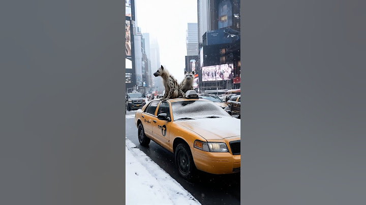 time to hear ‘Hakuna Matata’ instead of honking 🐽#lionking #mufasathelionking #hakunamatata #nyc