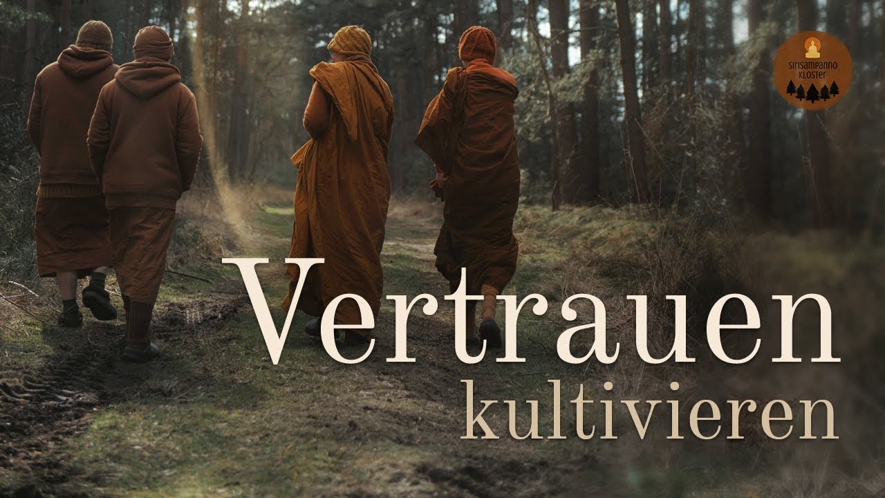 Vertrauen kultivieren: Vom Hören zur gelebten Praxis