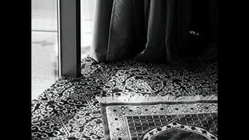 سورة التكوير. الشيخ عبد الرحمن العوسى