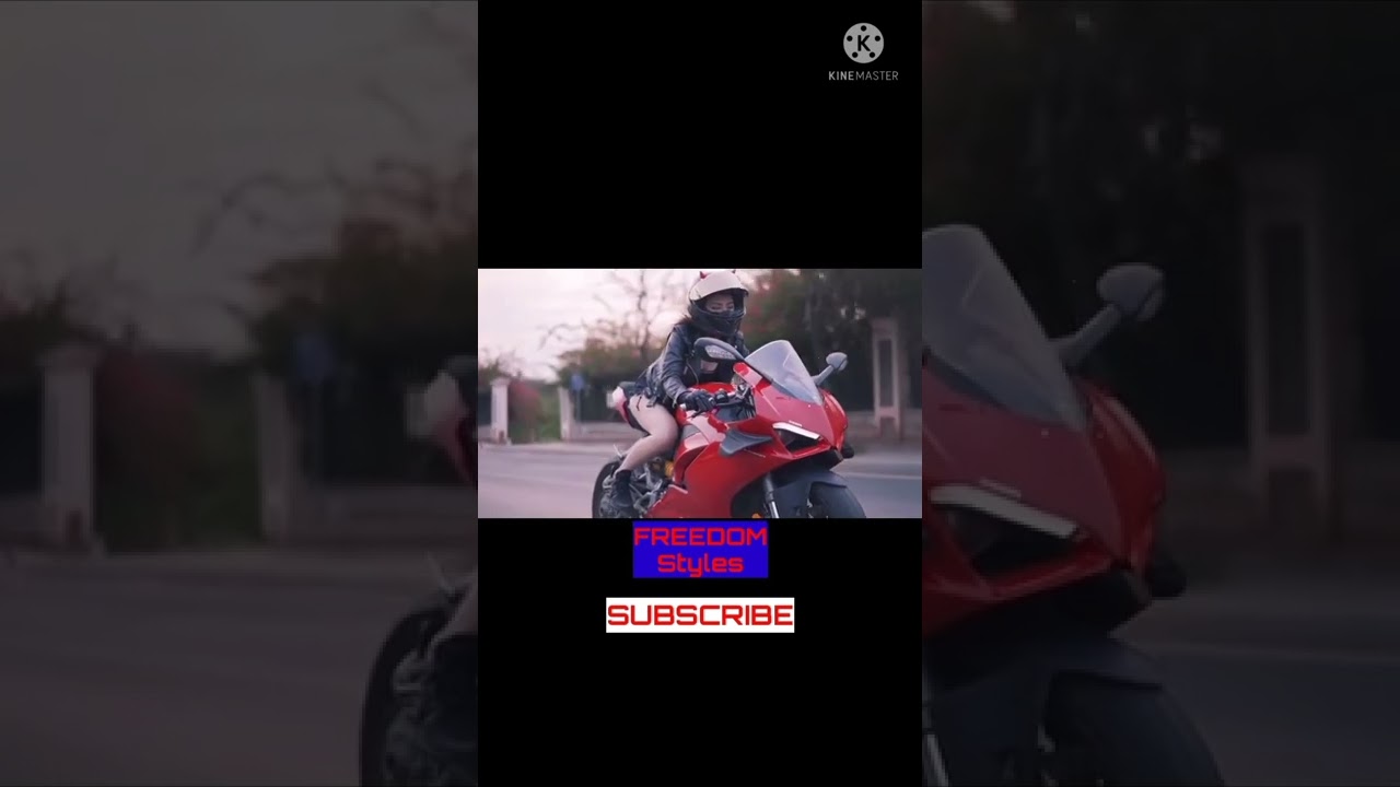 DUCATI PANIGALE V4 | FREEDOM Styles 