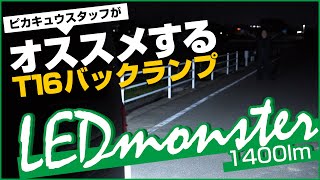 ピカキュウスタッフ オススメT16バックランプを紹介！【LED MONSTER 1400lm】