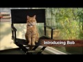 Meet 'Bob' - A STREET CAT NAMED BOB Featurette