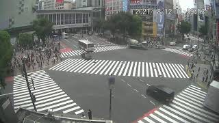 渋谷 スクランブル 交差点 ライブ カメラ