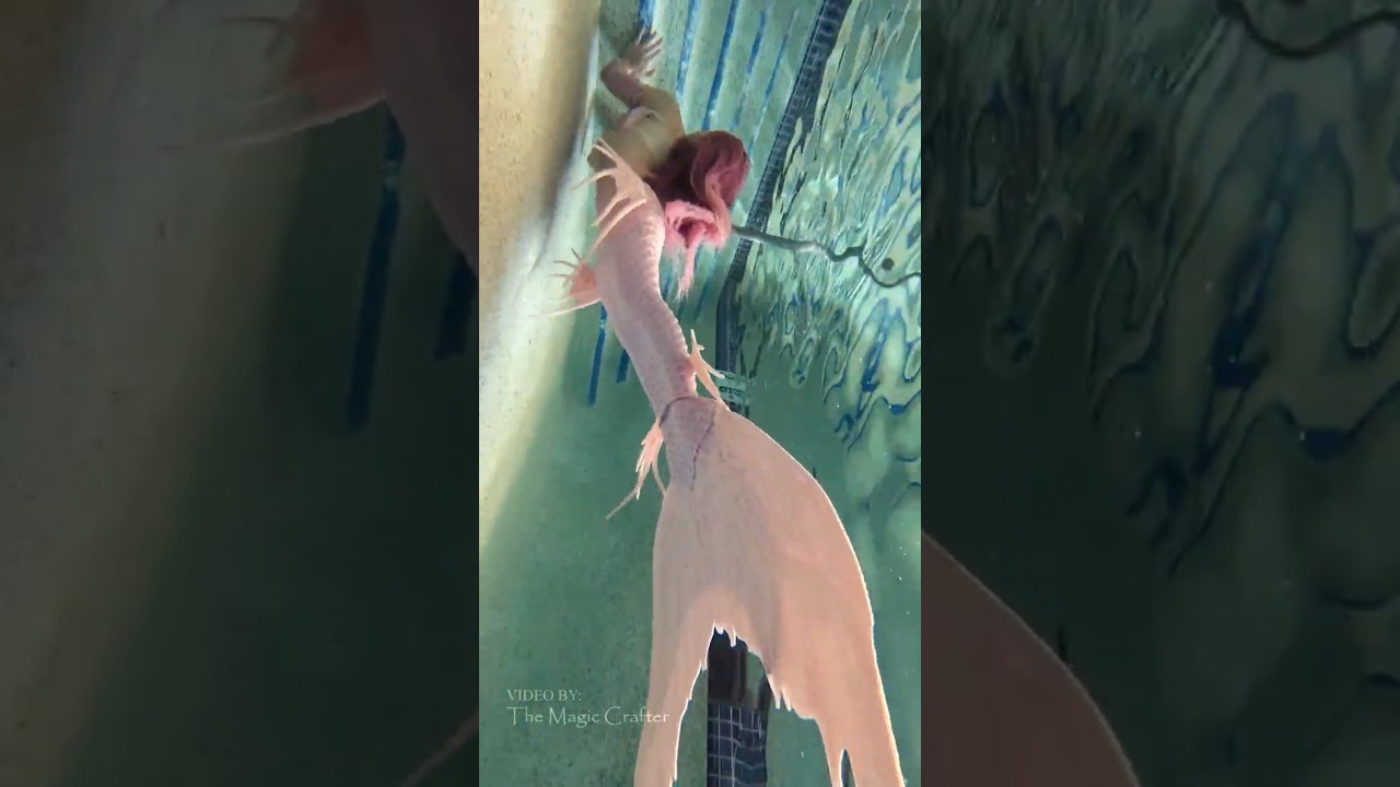 A clear view of a mermaid with a pink tail