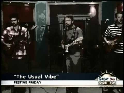 The Usual Vibe - The Indian Song