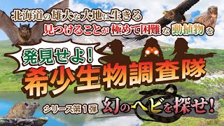 【北海道の動植物！！】希少生物調査隊 シリーズ第1弾 幻のヘビを探せ！ vol.1