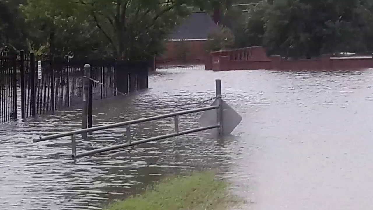 Flooding on Kingsland YouTube