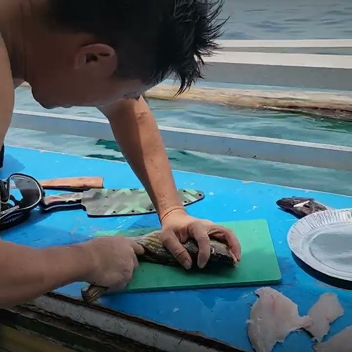 Spearfishing and Sashimi: Lane Snapper