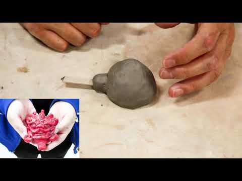 Video: How To Make A Whistle Out Of Clay