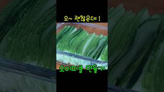 오이 보이면 무조건 사세요 여름반찬 알뜰반찬 실패 없는 피클 레시피