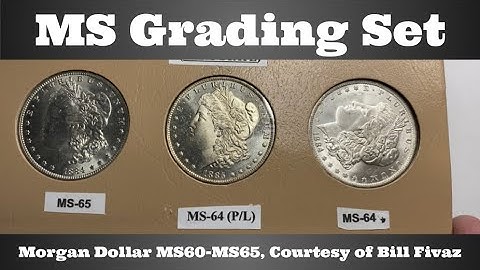 Mint State Morgan Dollar Grading Set - MS60-MS65 - Courtesy of Bill Fivaz