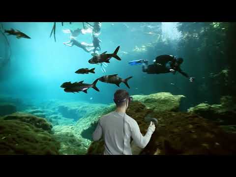 Lenovo Explorer- Immersive