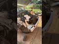 Starting the rebuild process on my 2013 dodge charger #kenfixit #dodgecharger #rebuild #restoration