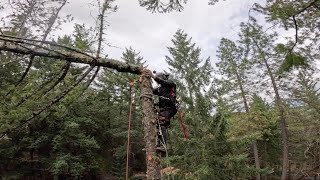 Story Time: When I was AFRAID to CLIMB any higher. . . by August Hunicke 24,150 views 2 months ago 14 minutes, 43 seconds