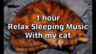 1 hour Relax Sleeping Music With My Cat