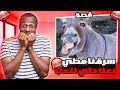 قصتي سرقنا مطي و بعنا حتي نروح نلعب بصاله الالعاب 