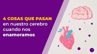 4 cosas que pasan en nuestro cerebro cuando nos enamoramos