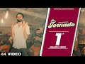 The tornado full parry sarpanch   punjabi songs 2024  punjabi gedi songs 2024