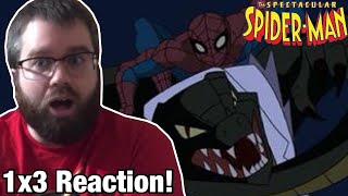 The Spectacular Spider-Man 1x3 Natural Selection Reaction / Review