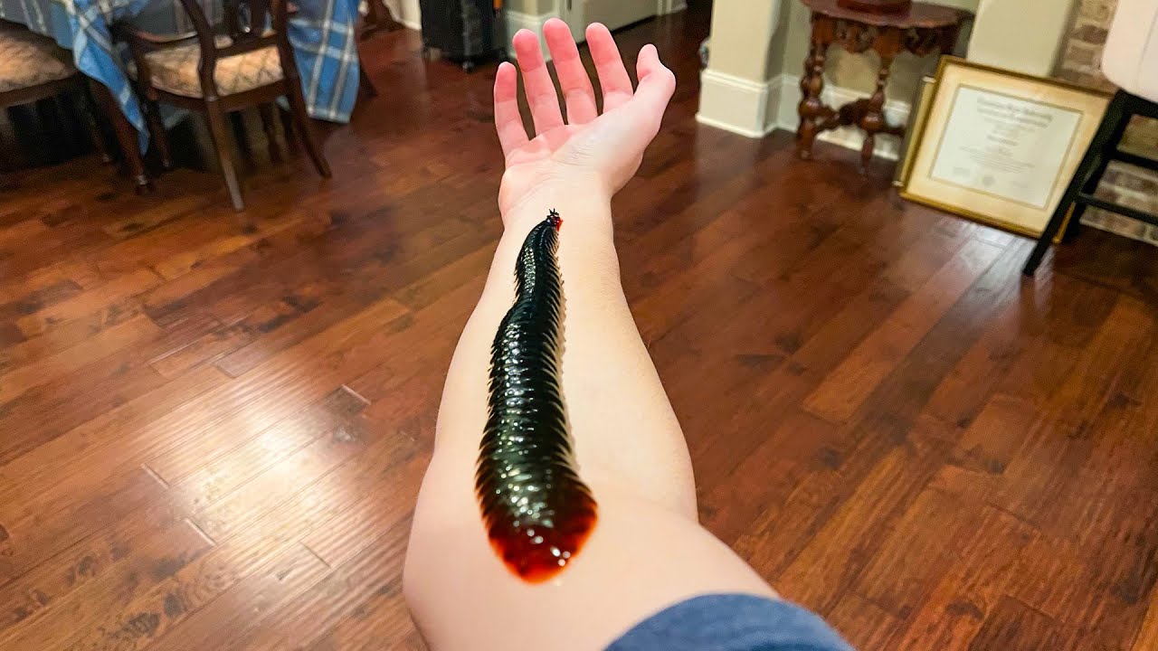 this PARASITE won't LET GO...