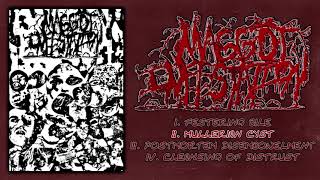 MxIx - asphyxia termination (Demo) (2022 - Goregrind / Noisegrind)