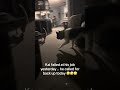 Cat backup #akitaworld #cat #puppy #foryou #funny #backup