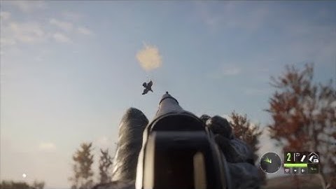 Diamond capercaillie + a big rare moose | theHunter: Call of the Wild