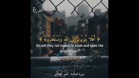 اجمل قراء من سورة المائده لي الشيخ ناصر القطامي❤❤💗💜