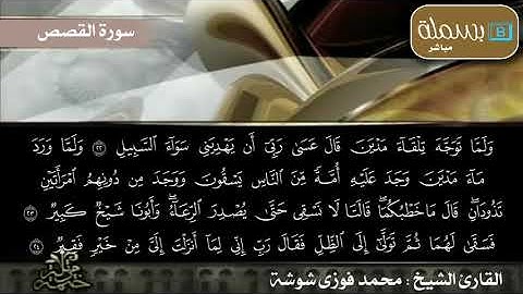 سورة القصص : للقارئ الشيخ محمد فوزي شوشة
