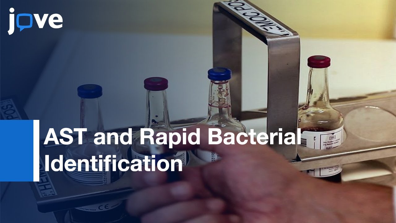 AST and Rapid Bacterial Identification by Blood Culture Pellet Protocol Preview YouTube