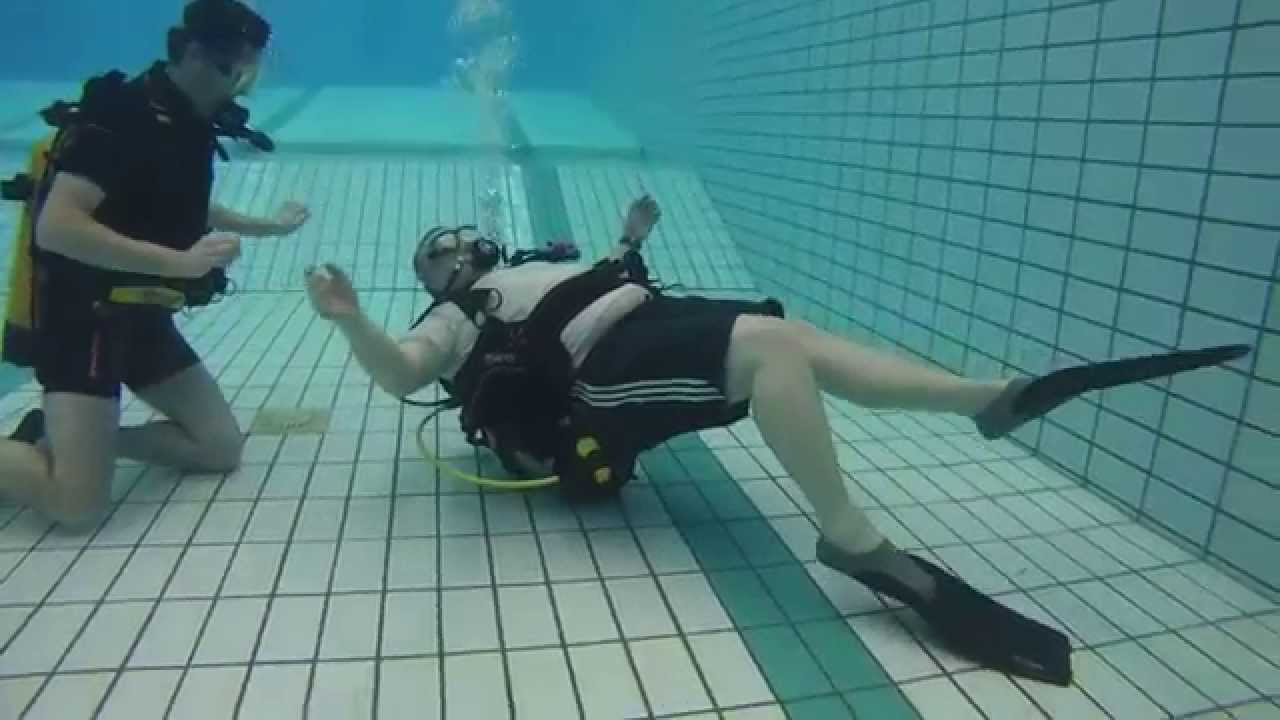 Duik Koploper lelystad Januari 2015