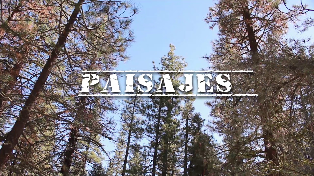 frazier park 2019 YouTube frazier park 2019 YouTube