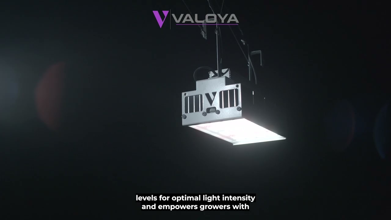 RX-Series: High-Power LED Grow Light for 1:1 HPS Replacement