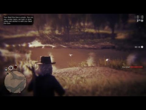 Red Dead Redemption 2_20190109044213