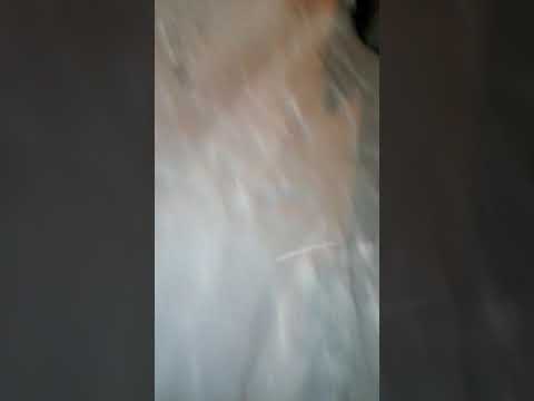 الثلج الله يبارك في سطيف