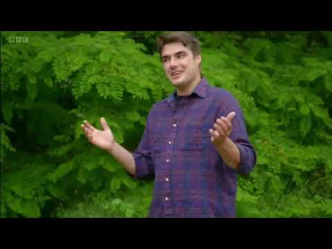 Garden Rescue 2022 S07E21 -  Bristol