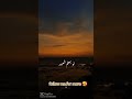 follow me for more🥰🕊️🤍 #fypyoutube #fypシ゚viral #explore #fypシ #tiktok #fypシ #kitten #foryou #cat