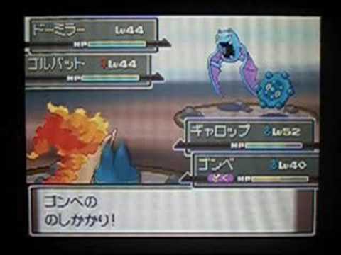 コレクション ポケモン プラチナ ギャロップ シモネタ