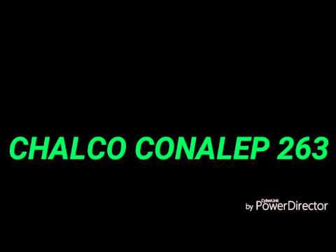 PLANTEL CHALCO CONALEP 263