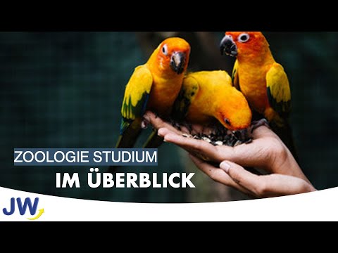 Das Zoologie Studium im Überblick!