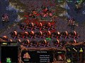 StarCraft: Brood War - 1 Zerg vs 7 Zerg (vs 7 computers ) Map: Big Game Hunters