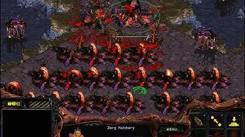 StarCraft: Brood War - 1 Zerg vs 7 Zerg (vs 7 computers ) Map: Big Game Hunters
